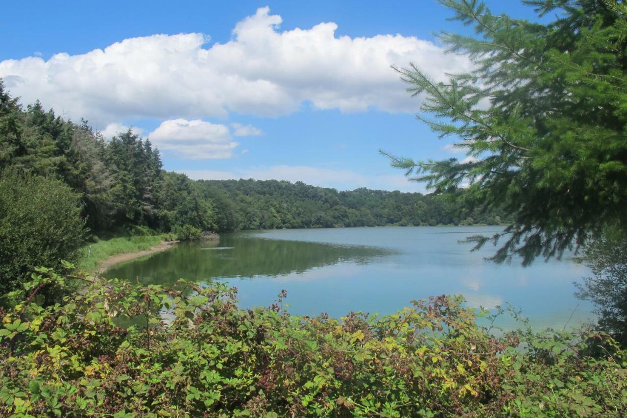 Вилла Le Contrevent Saint-Julien-des-Landes Экстерьер фото